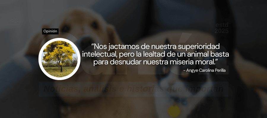 Lecciones sin palabras: lo que los animales nos enseñan sobre el amor, la lealtad y la compasión.
